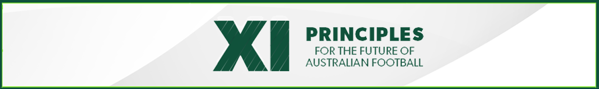 XI Principles - Thin Banner